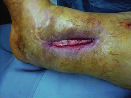 Details are in the caption following the image Details are in the caption following the image