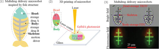 A Multidrug Delivery Microrobot for the Synergistic Treatment of Cancer