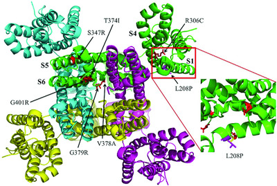 CAGI4 SickKids clinical genomes challenge: A pipeline for identifying pathogenic variants