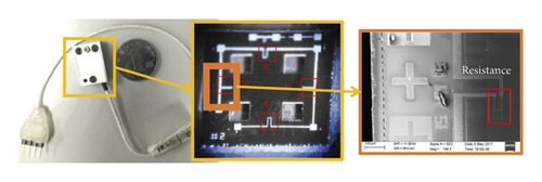 Details are in the caption following the image Details are in the caption following the image