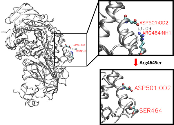 Gene-specific features enhance interpretation of mutational impact on acid α-glucosidase enzyme activity