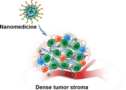 Nanomedicine Disrupts Stromal Barriers to Augment Drug Penetration for Improved Cancer Therapy†
