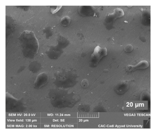 Details are in the caption following the image