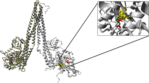 Details are in the caption following the image Details are in the caption following the image