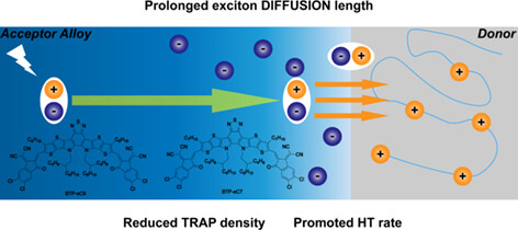 Controllable Exciton Diffusion Length and Ultrafast Charge Generation in Ternary Organic Solar Cells