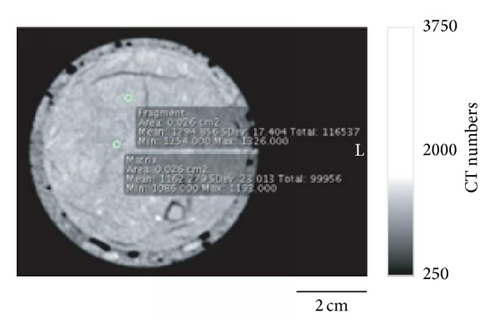 Details are in the caption following the image