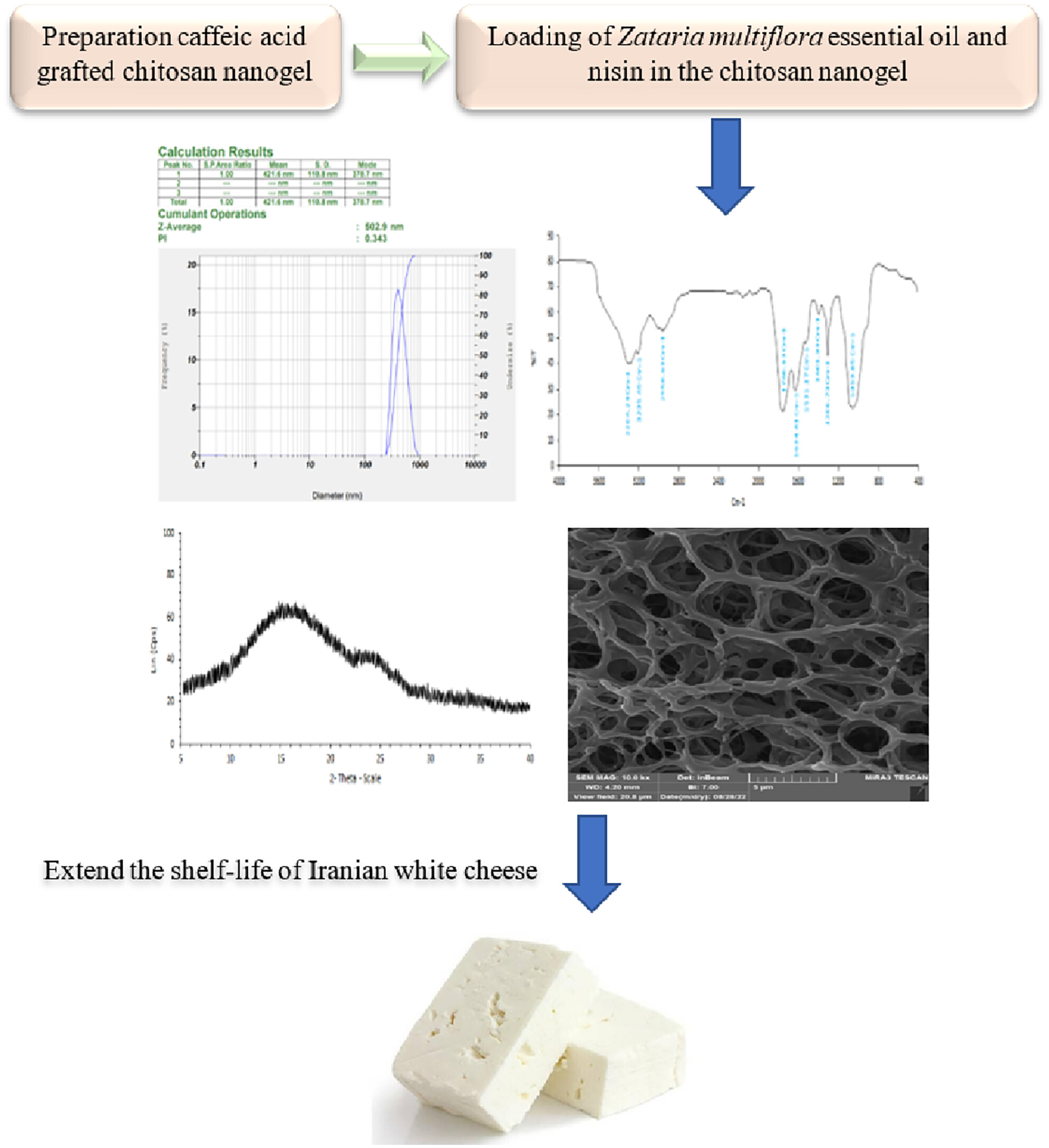 Co-encapsulation of Shirazi thyme (Zataria multiflora) essential oil and nisin using caffeic acid grafted chitosan nanogel and the effect of this nanogel as a bio-preservative in Iranian white cheese