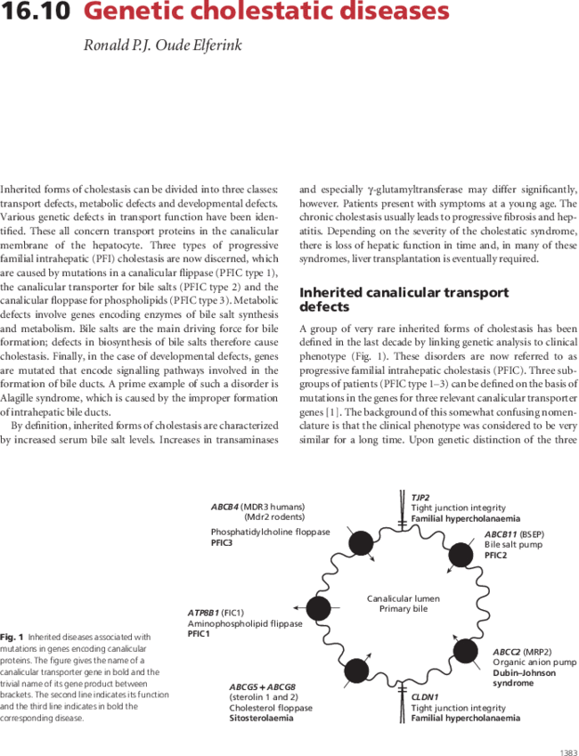 First page image