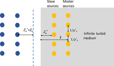 Fluorescence attenuated by a thick scattering medium: Theory, simulations and experiments