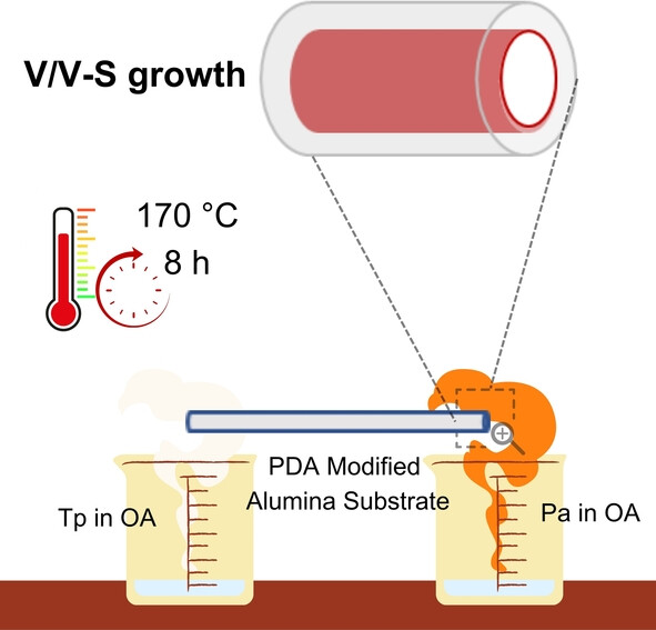 Vapor/Vapor-Solid Interfacial Growth of Covalent Organic Framework Membranes on Alumina Hollow Fiber for Advanced Molecular Separation
