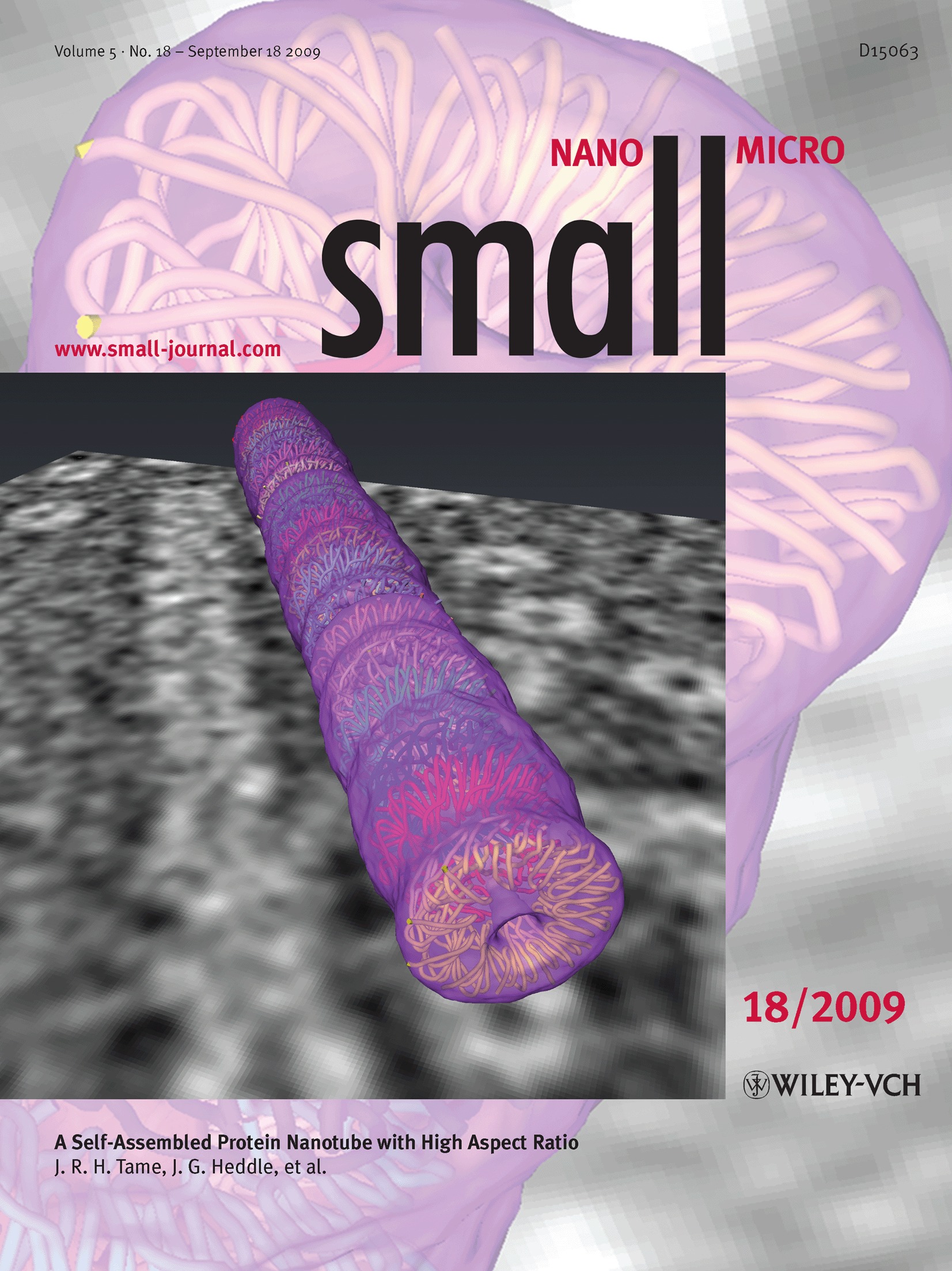 Protein nanotubes: Small 18/2009