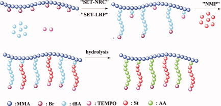 Synthesis and characterization of amphiphilic heterograft copolymers with PAA and PS side chains via “Grafting from” approach