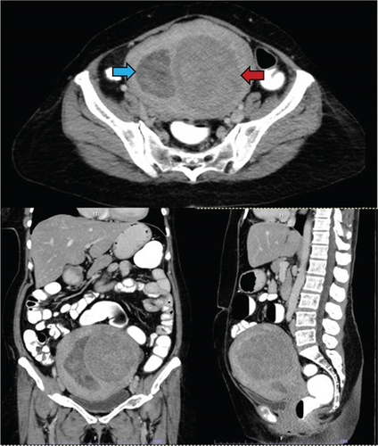 Details are in the caption following the image Details are in the caption following the image
