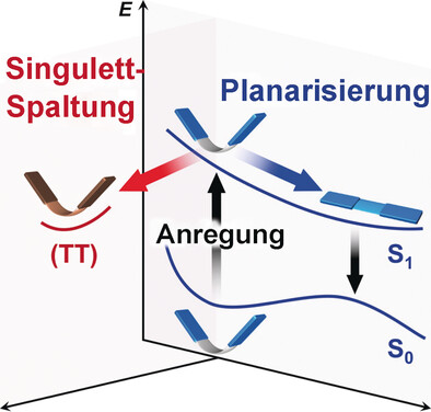 Conformational Planarization versus Singlet Fission: Distinct Excited-State Dynamics of Cyclooctatetraene-Fused Acene Dimers