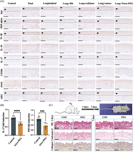 Details are in the caption following the image Details are in the caption following the image