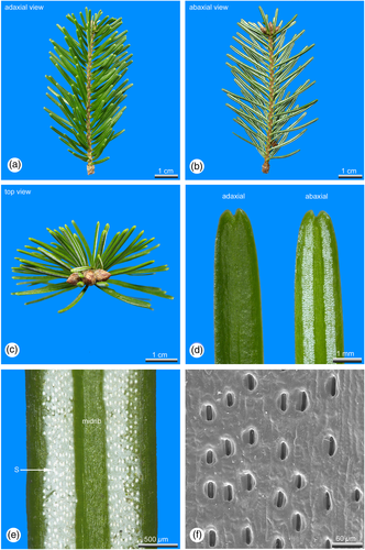Details are in the caption following the image Details are in the caption following the image