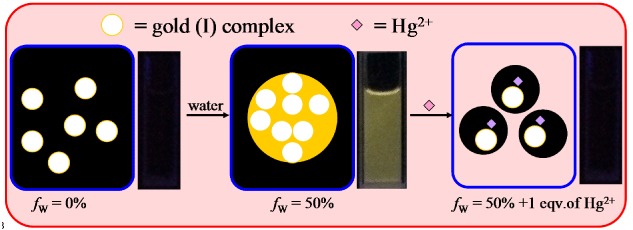 A Fluorescent Probe for Hg2+ Based on Gold(I) Complex with An Aggregation-Induced Emission Feature
