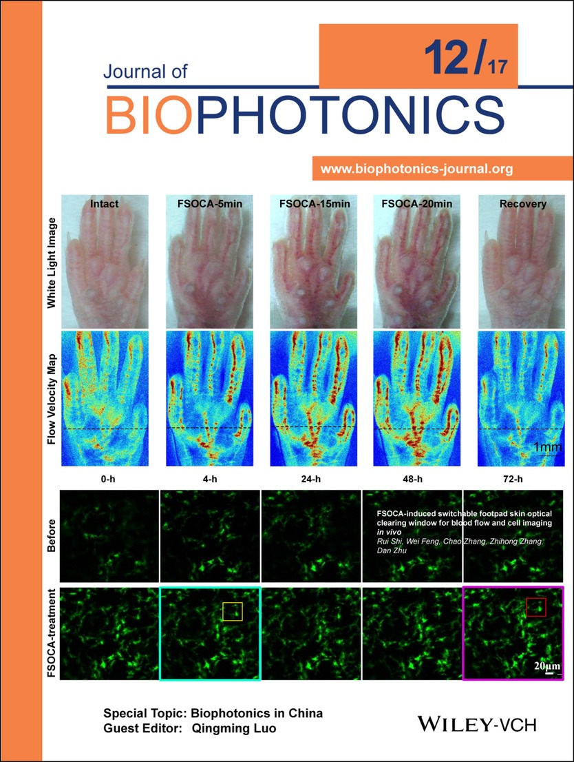 Inside Cover: FSOCA-induced switchable footpad skin optical clearing window for blood flow and cell imaging in vivo (J. Biophotonics 12/2017) Volume 10 Issue 12, 2017