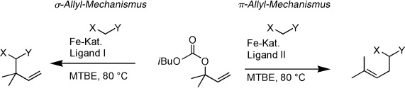 Ligandenabhängige mechanistische Dichotomie in Eisen-katalysierten allylischen Substitutionen: σ-Allyl- kontra π-Allyl-Mechanismus