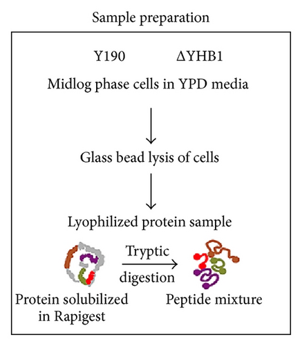 Details are in the caption following the image