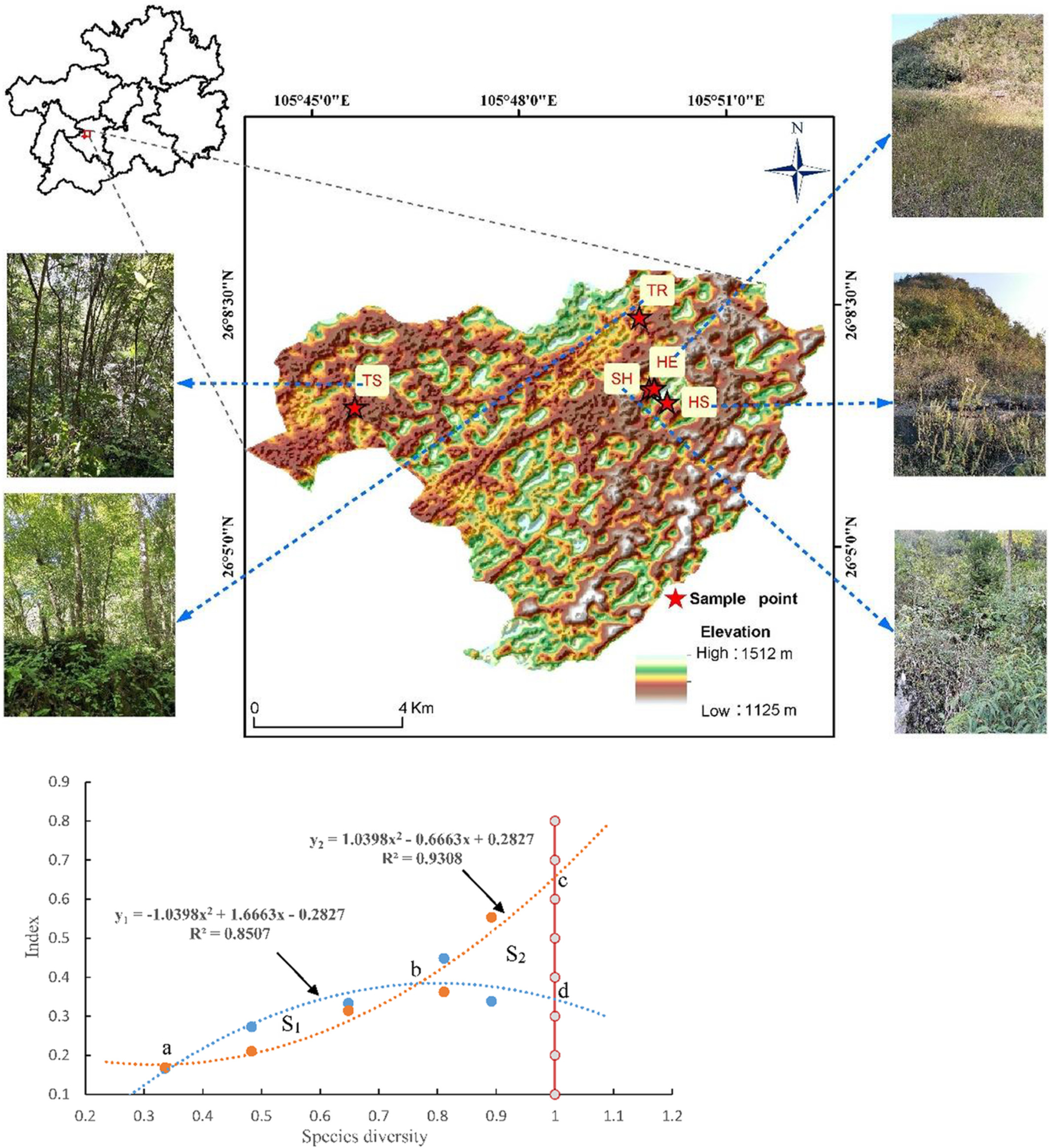 Relationship between diversity and stability of a karst plant community