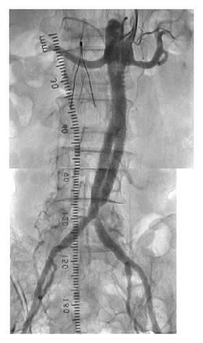 Details are in the caption following the image