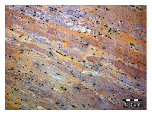 Details are in the caption following the image Details are in the caption following the image