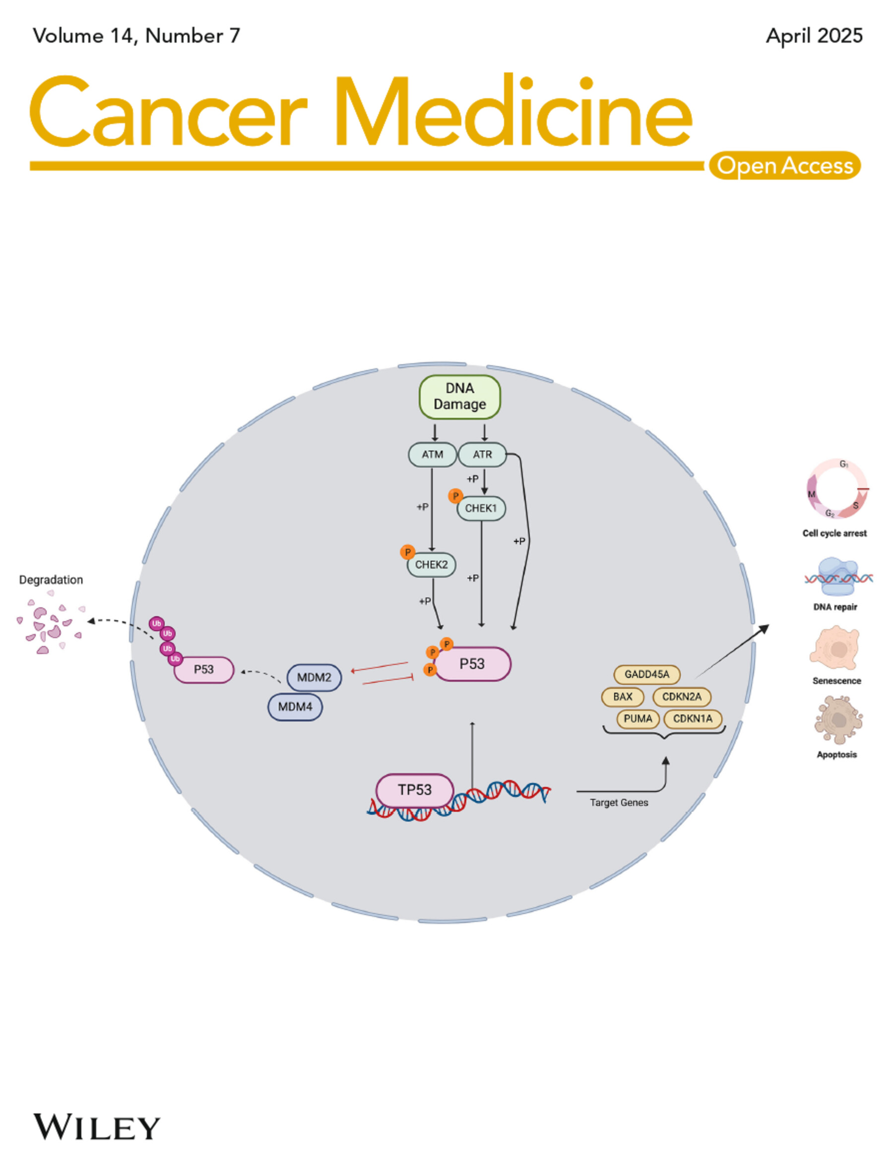 Cover Image Volume 14 Issue 7, 2025