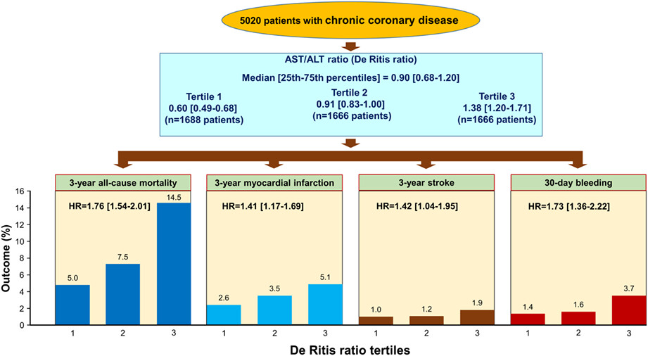 De Ritis ratio and long-term major cardiovascular adverse events in patients undergoing elective percutaneous coronary intervention