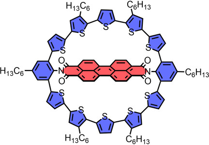 Macrocyclic Donor–Acceptor Dyads Composed of a Perylene Bisimide Dye Surrounded by Oligothiophene Bridges