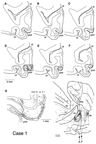 Details are in the caption following the image Details are in the caption following the image
