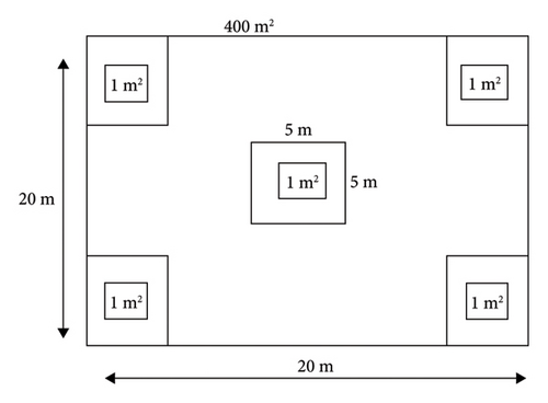 Details are in the caption following the image Details are in the caption following the image