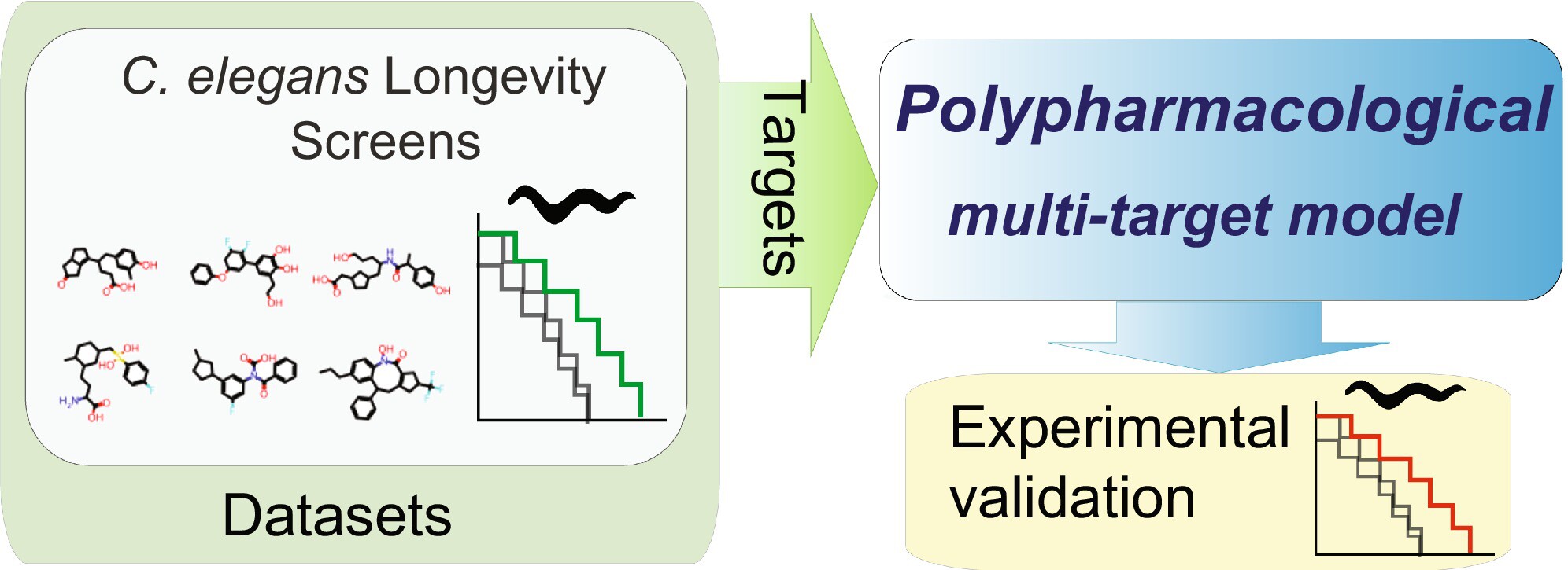 AI-Driven Identification of Exceptionally Efficacious Polypharmacological Compounds That Extend the Lifespan of Caenorhabditis elegans