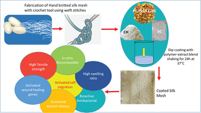 Silk Meshes Coated with Chitosan-Bioactive Phytochemicals Activate Wound Healing Genes In Vitro