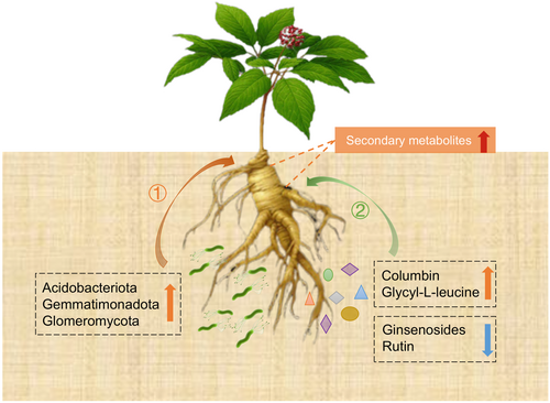 Details are in the caption following the image