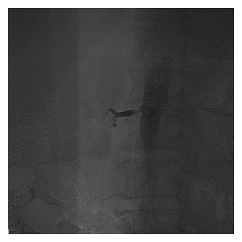 Description unavailable Description unavailable