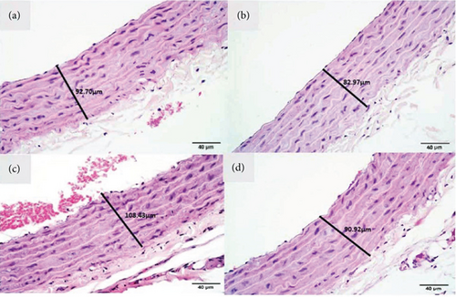 Details are in the caption following the image