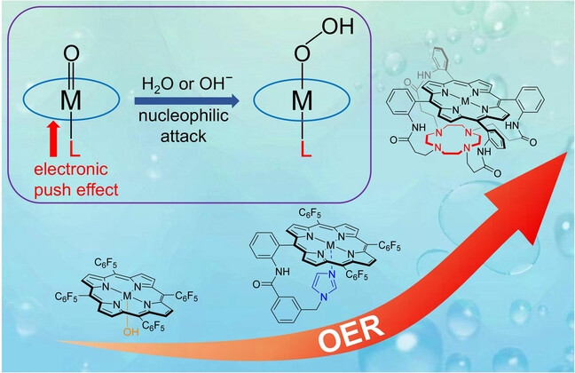 Coordination Tuning of Metal Porphyrins for Improved Oxygen Evolution Reaction