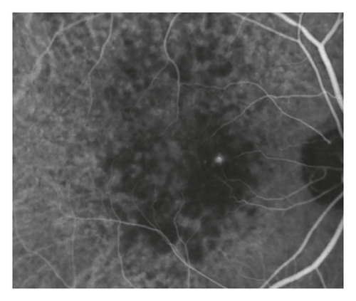 Details are in the caption following the image Details are in the caption following the image