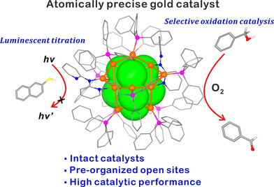 Atomically Precise Preorganization of Open Metal Sites on Gold Nanoclusters with High Catalytic Performance