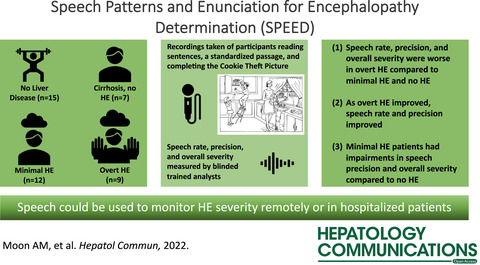 Speech patterns and enunciation for encephalopathy determination—A prospective study of hepatic encephalopathy