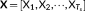 urn:x-wiley:10659471:media:hbm24376:hbm24376-math-0012