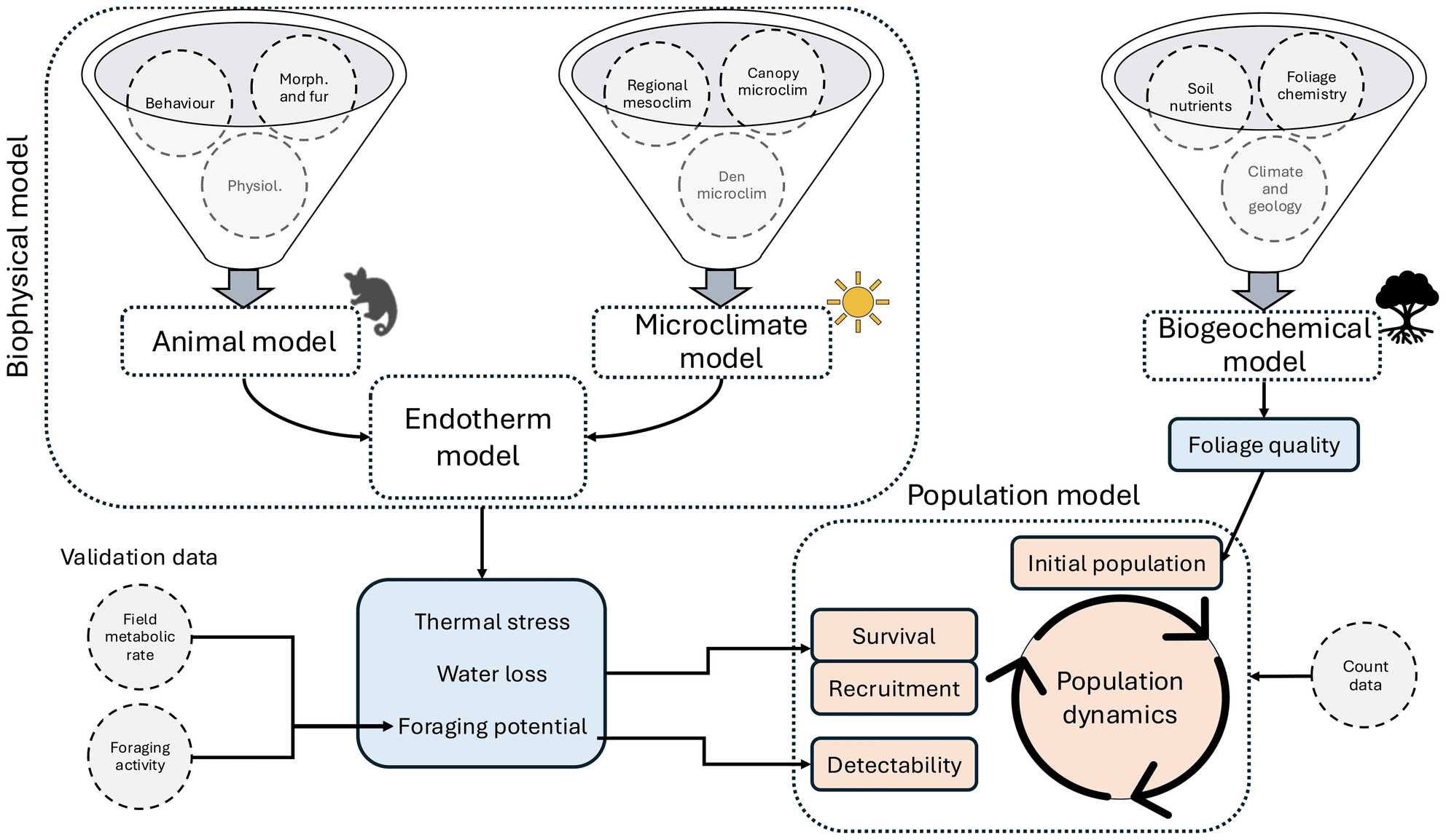 Climate-Induced Physiological Stress Drives Rainforest Mammal Population Declines