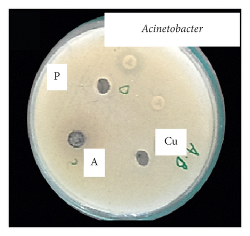 Details are in the caption following the image