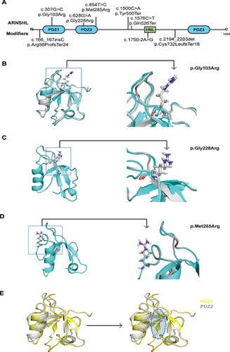 Details are in the caption following the image Details are in the caption following the image