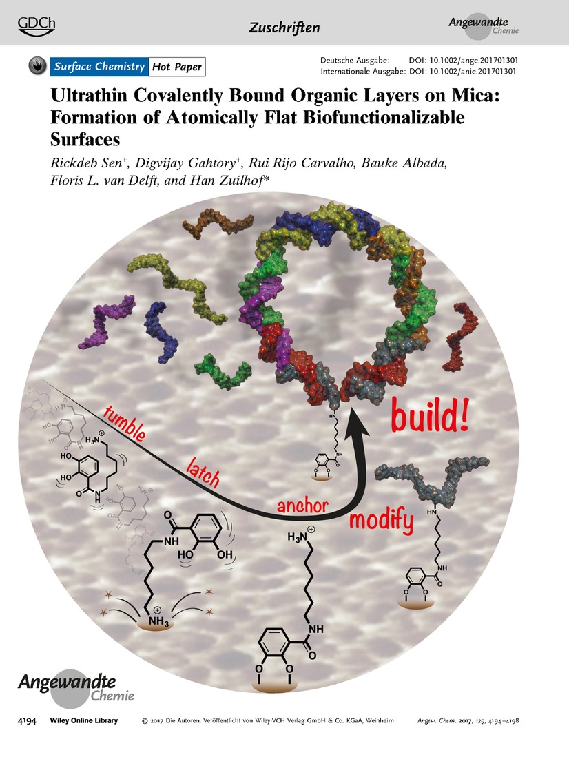 Frontispiz: Ultrathin Covalently Bound Organic Layers on Mica: Formation of Atomically Flat Biofunctionalizable Surfaces Volume 129 Issue 15, 2017