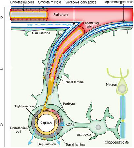 Details are in the caption following the image Details are in the caption following the image