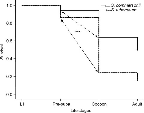 Preference–performance in a specialist sawfly on congeneric host plants