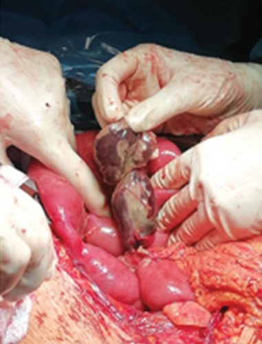 Details are in the caption following the image Details are in the caption following the image