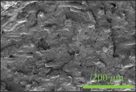 Details are in the caption following the image